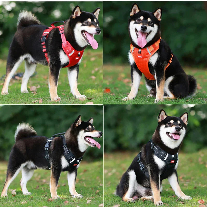 Superidag GuardianGlow™ - Anti-coke harness for dogs