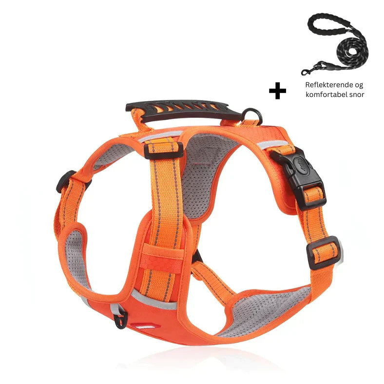 Superidag GuardianGlow™ - Anti-coke harness for dogs