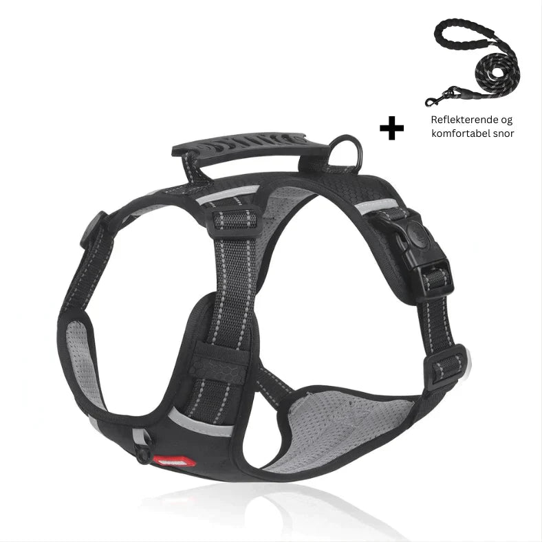 Superidag GuardianGlow™ - Anti-coke harness for dogs