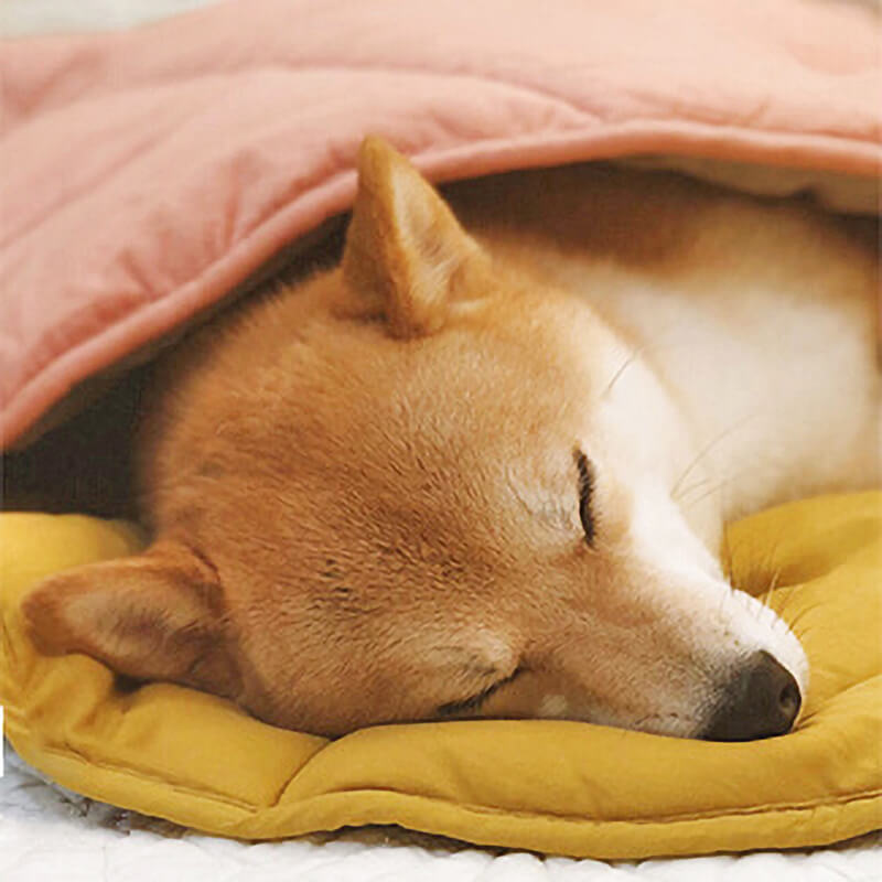 Superidag Leaf-shaped dog blanket