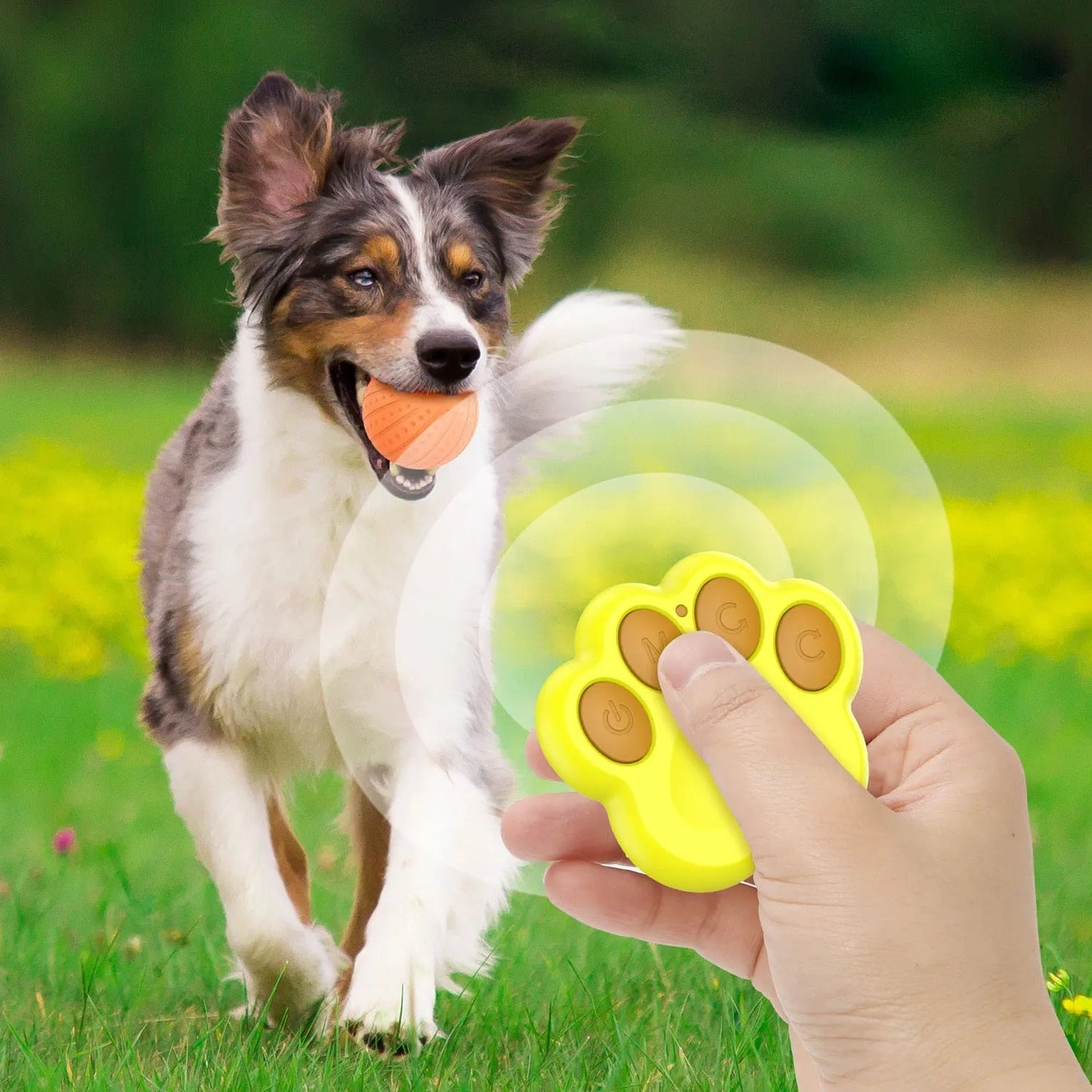 Wicked Ball-Smart rolling ball pet toy