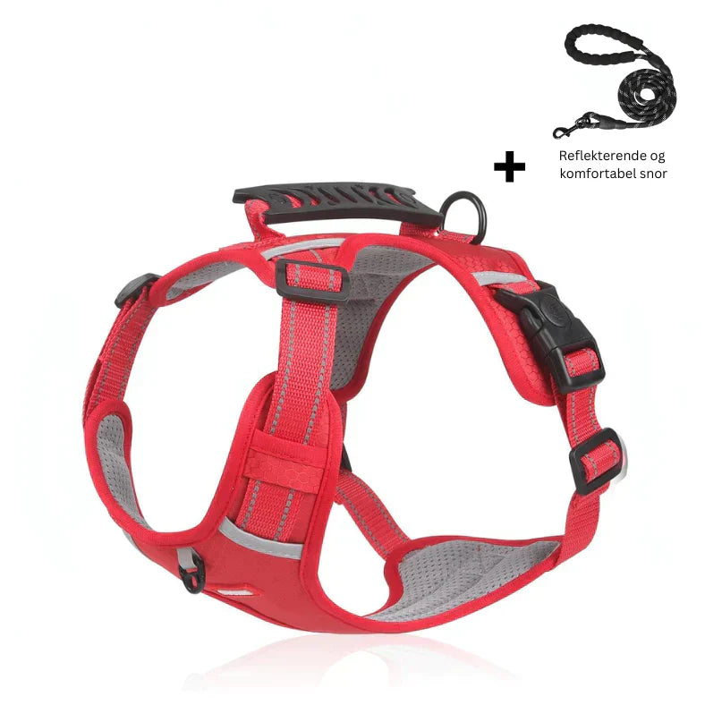 Superidag GuardianGlow™ - Anti-coke harness for dogs