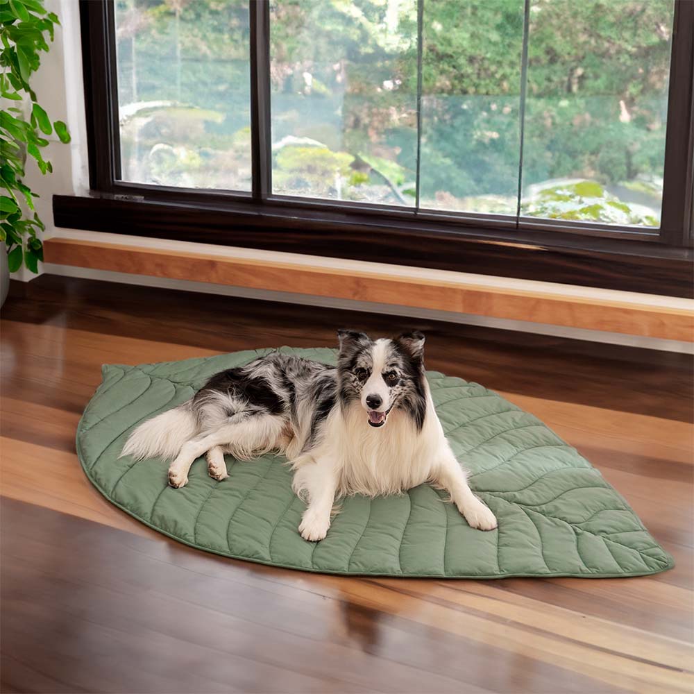 Superidag Leaf-shaped dog blanket