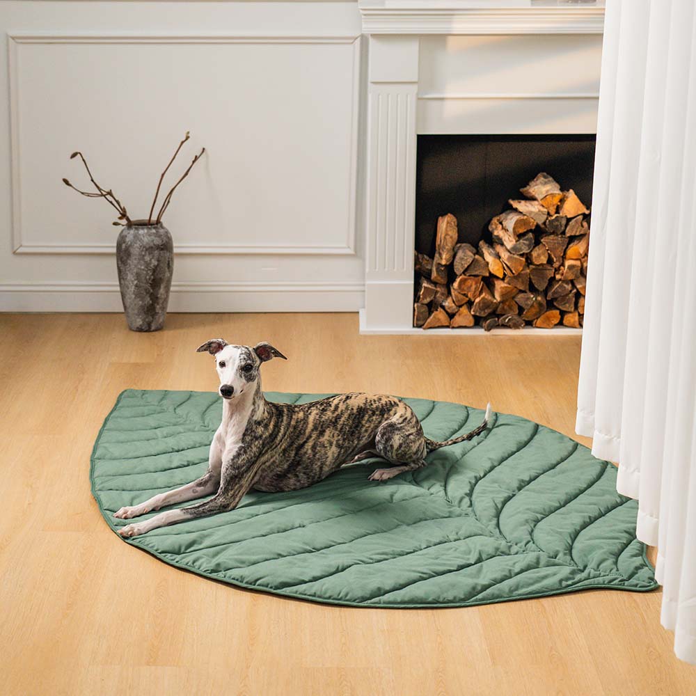 Superidag Leaf-shaped dog blanket