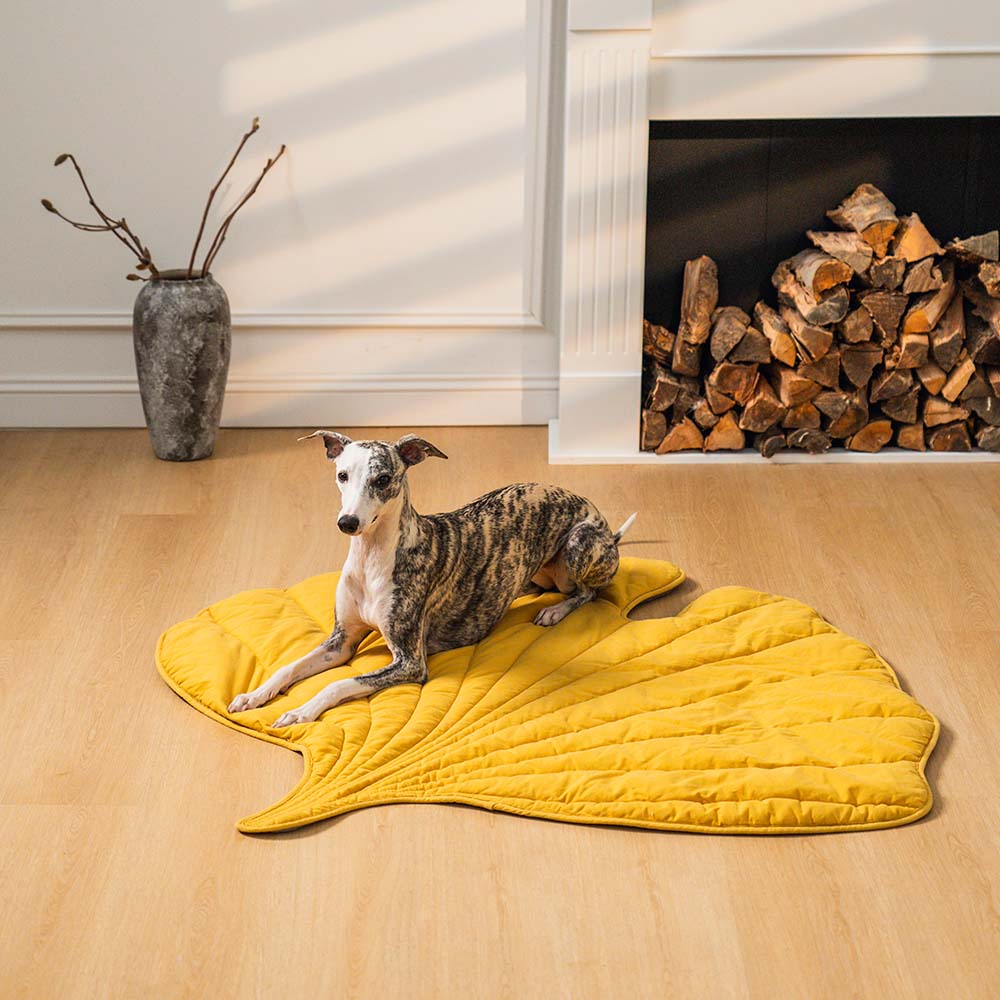 Superidag Leaf-shaped dog blanket