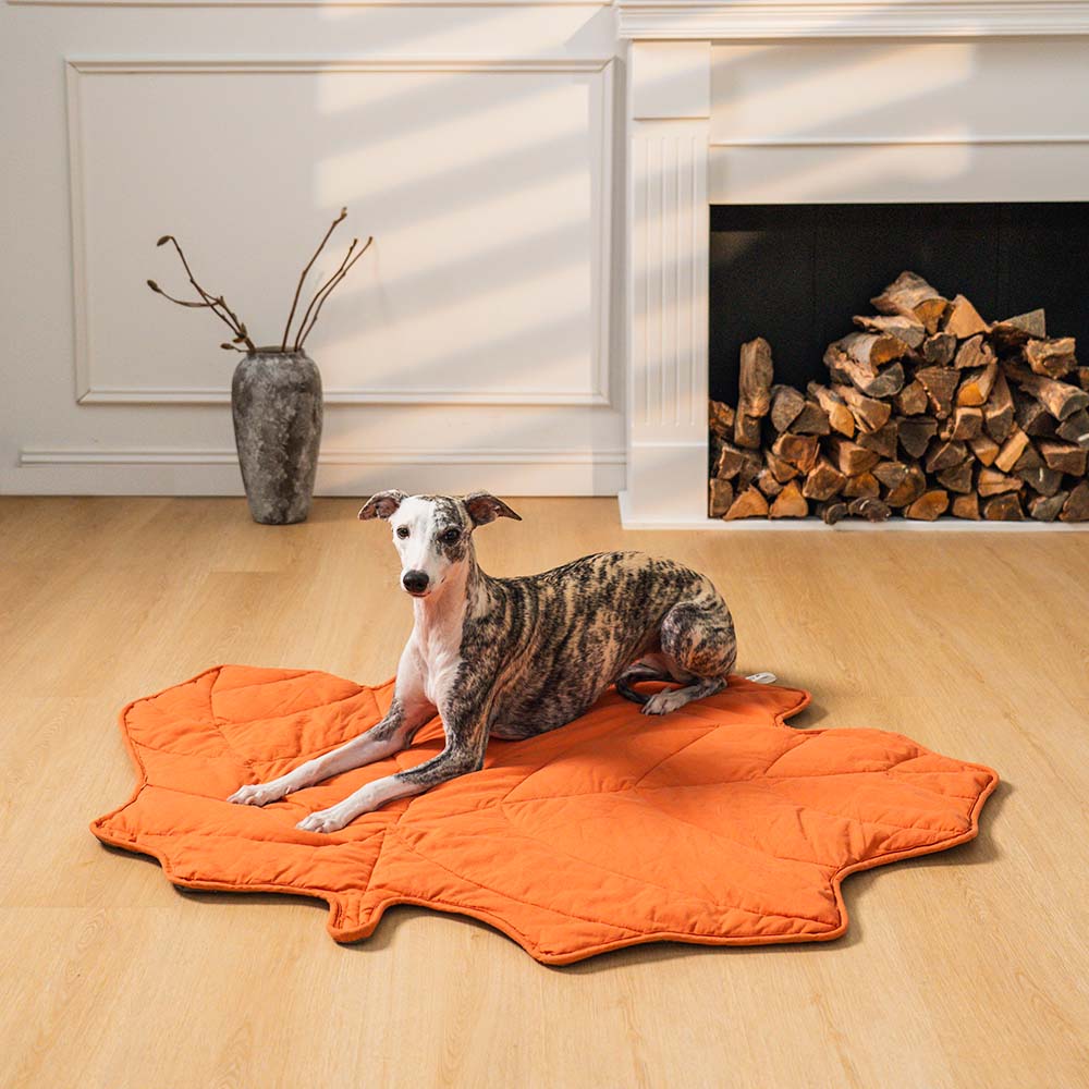 Superidag Leaf-shaped dog blanket