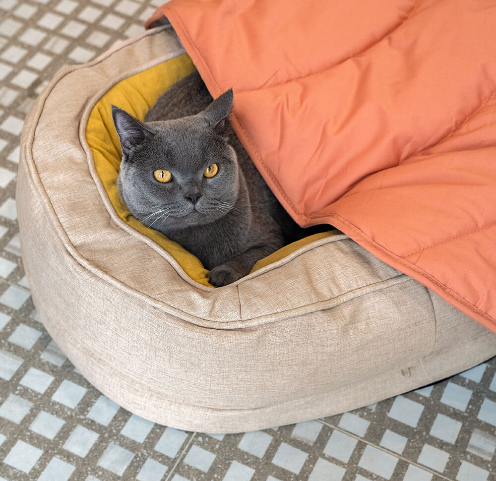 Superidag Leaf-shaped dog blanket