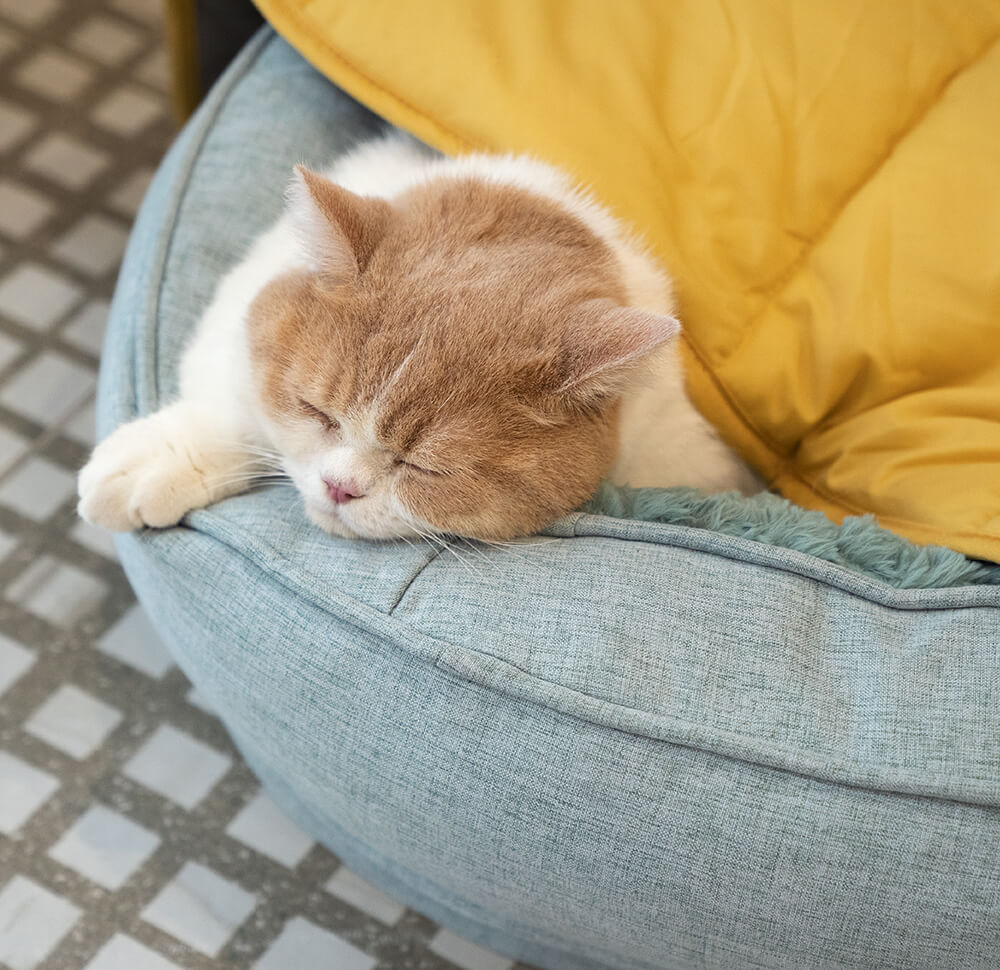 Superidag Leaf-shaped dog blanket