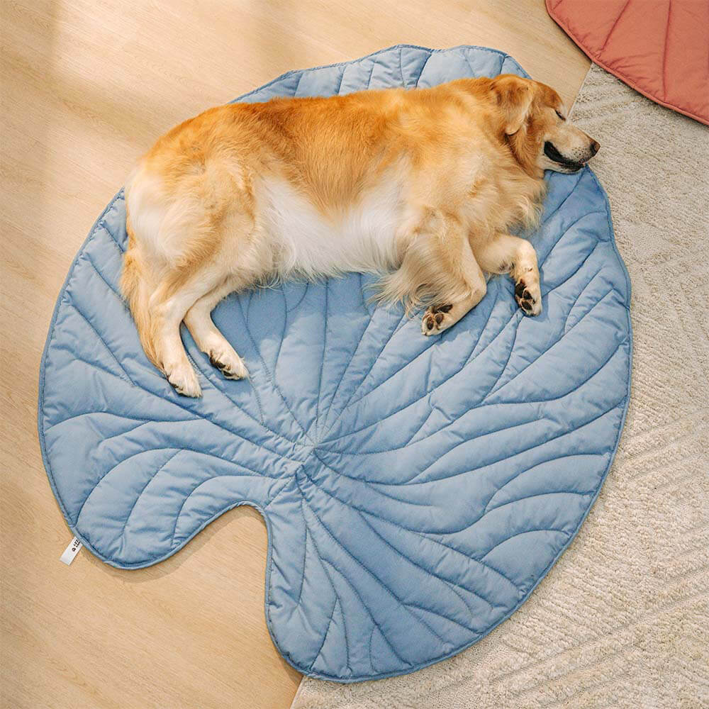 Superidag Leaf-shaped dog blanket