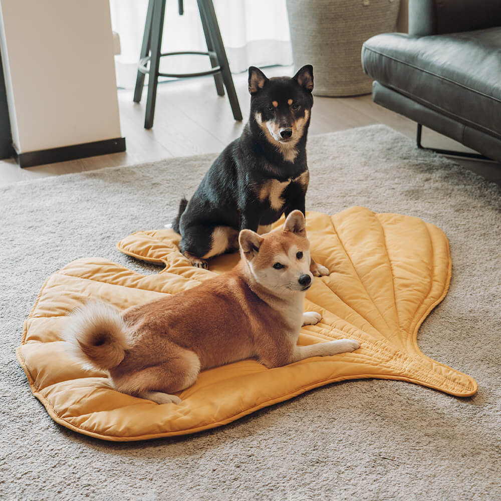 Superidag Leaf-shaped dog blanket