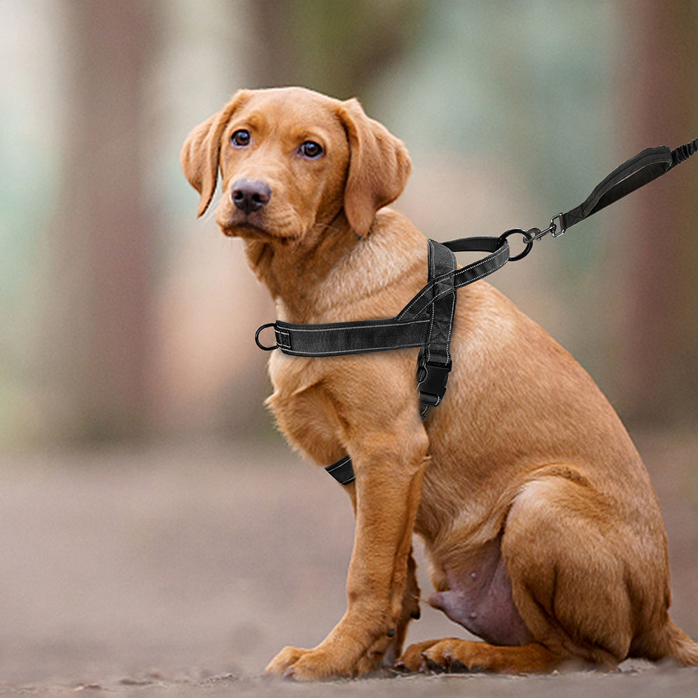 Superidag Free Walk™ Dog Harness | Personal Dog Harness