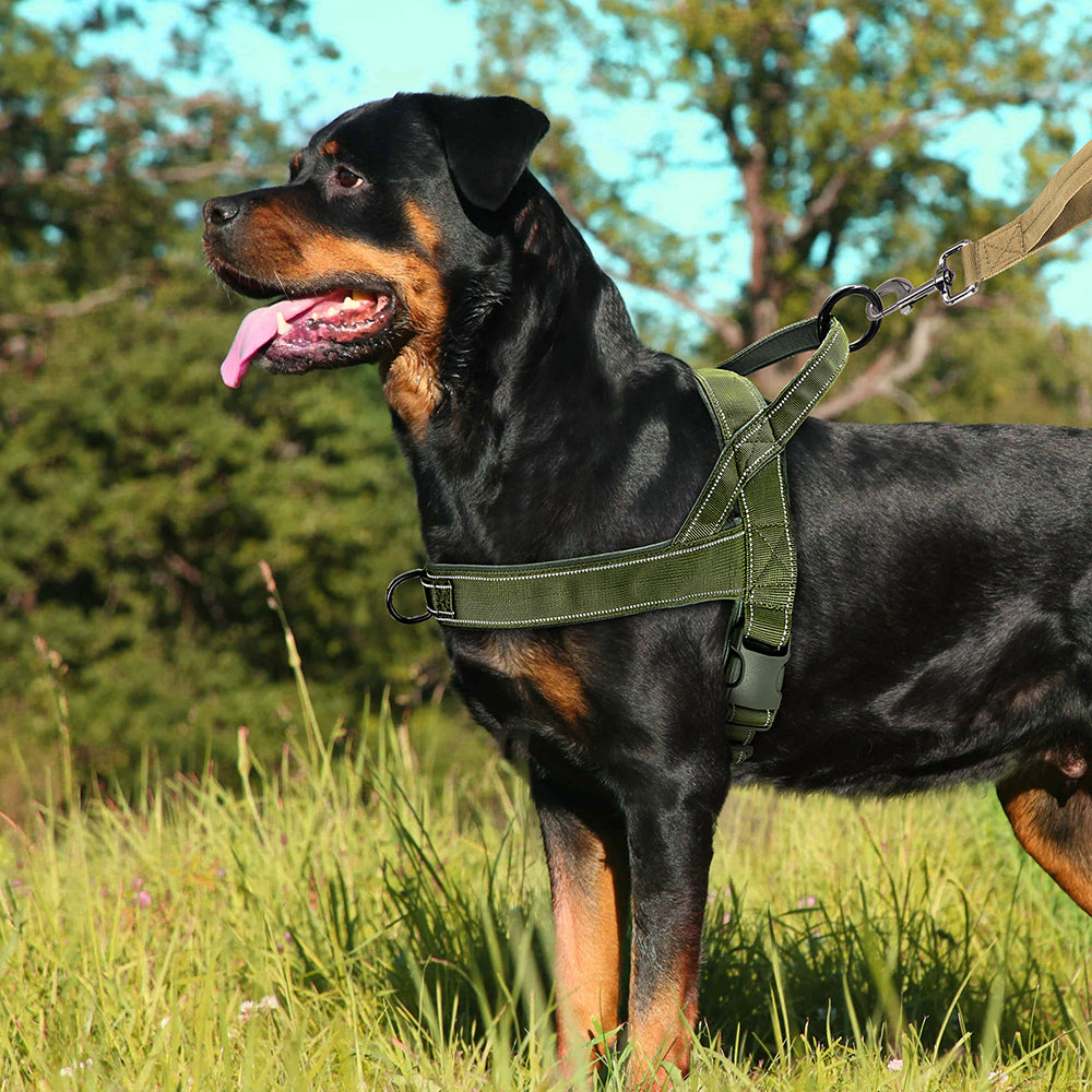 Superidag Free Walk™ Dog Harness | Personal Dog Harness