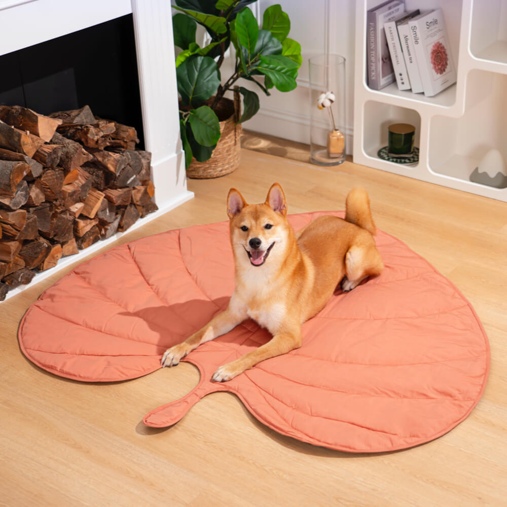 Superidag Leaf-shaped dog blanket