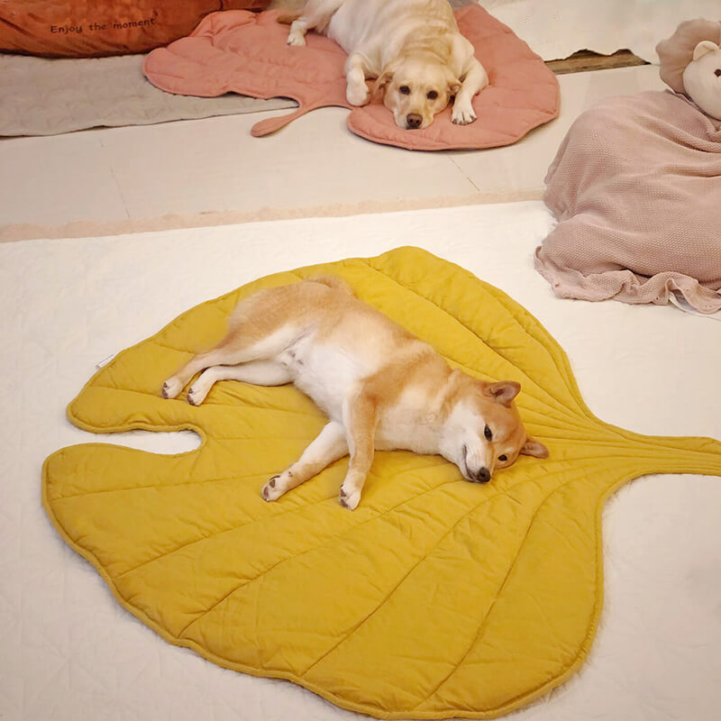 Superidag Leaf-shaped dog blanket