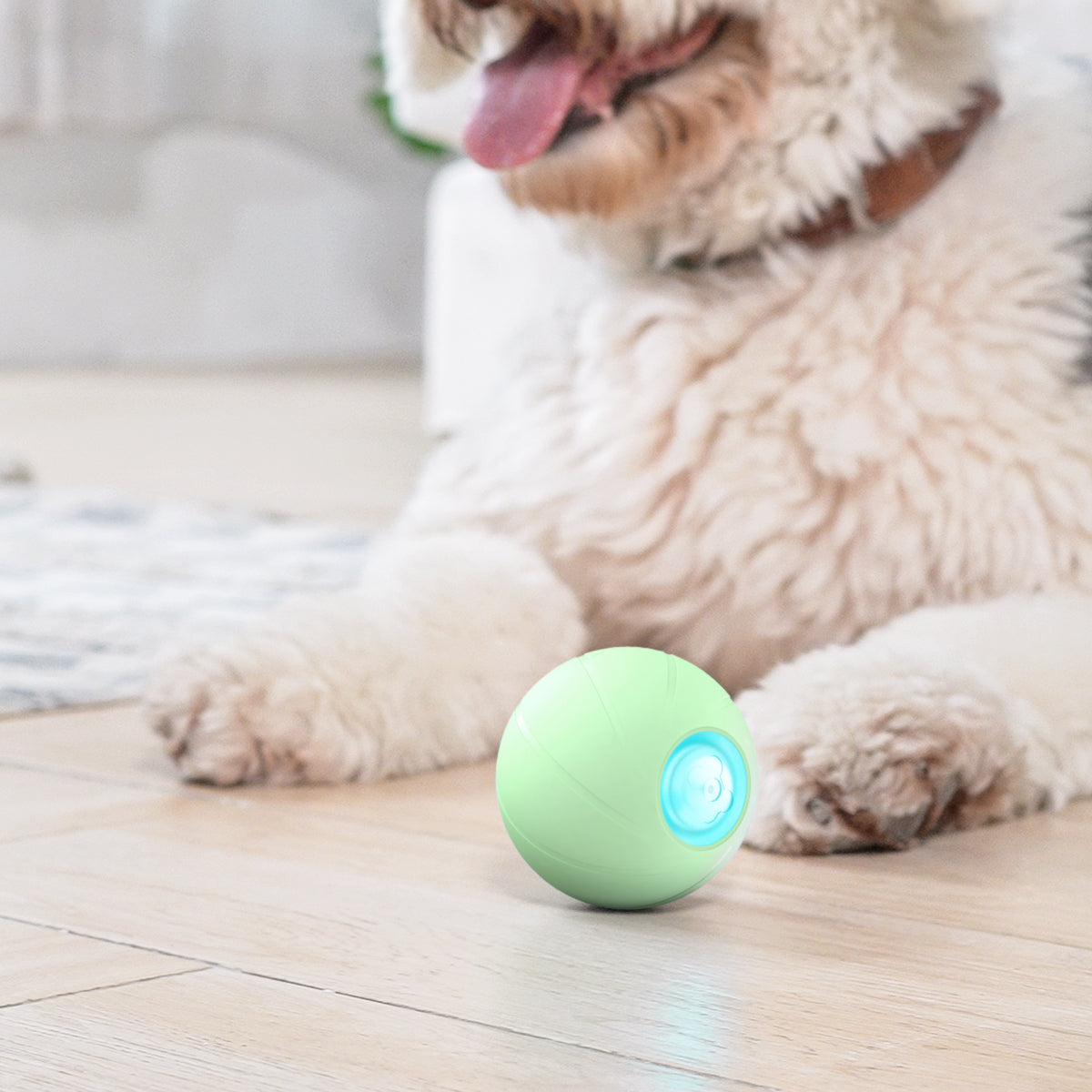 Wicked Ball-Smart rolling ball pet toy