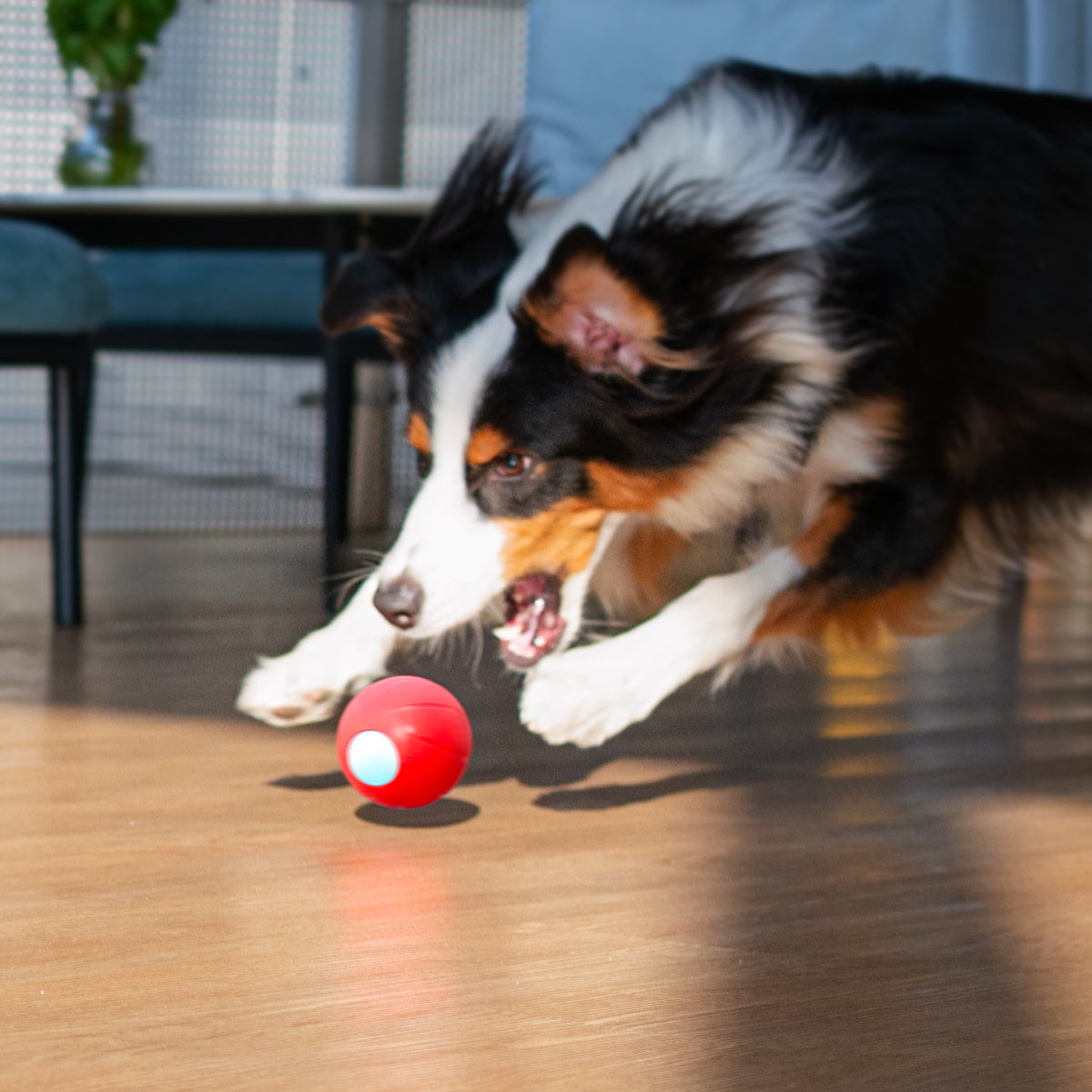 Wicked Ball-Smart rolling ball pet toy