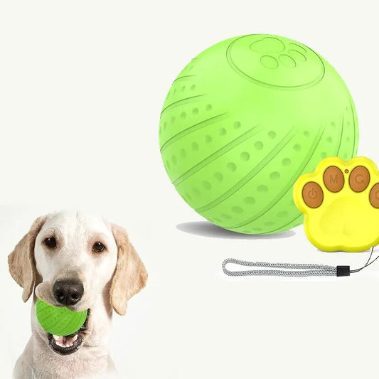 Wicked Ball-Smart rolling ball pet toy