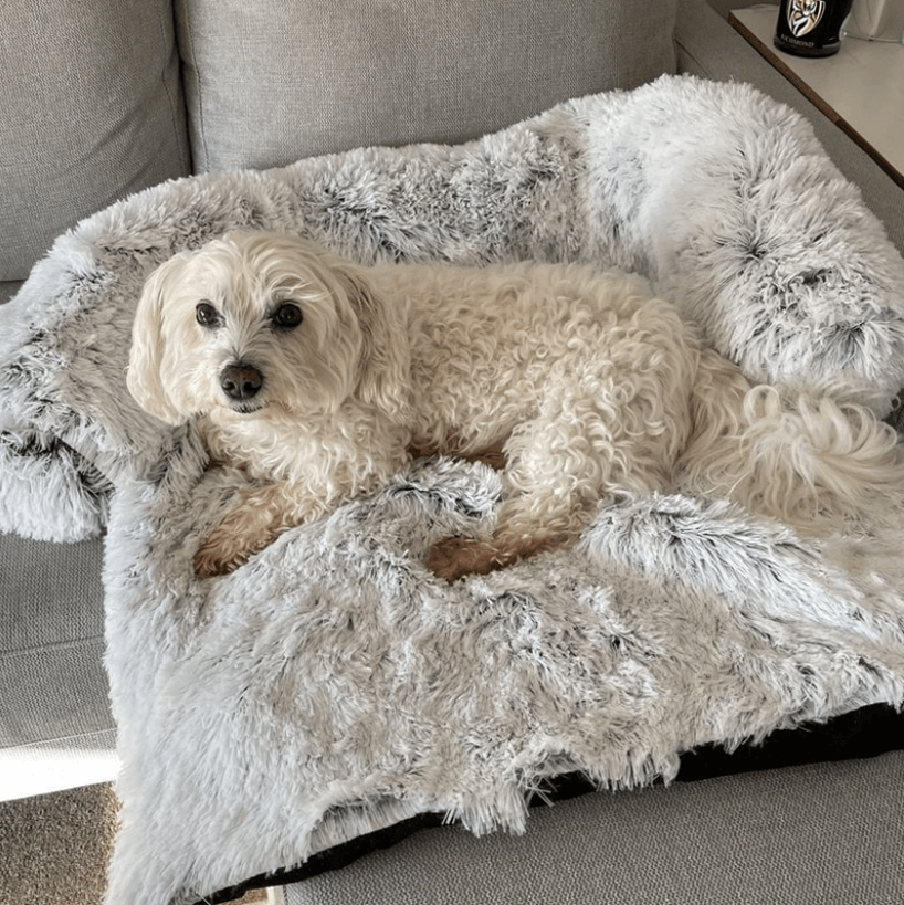 Superidag Soothing Dog Bed & Sofa Cover