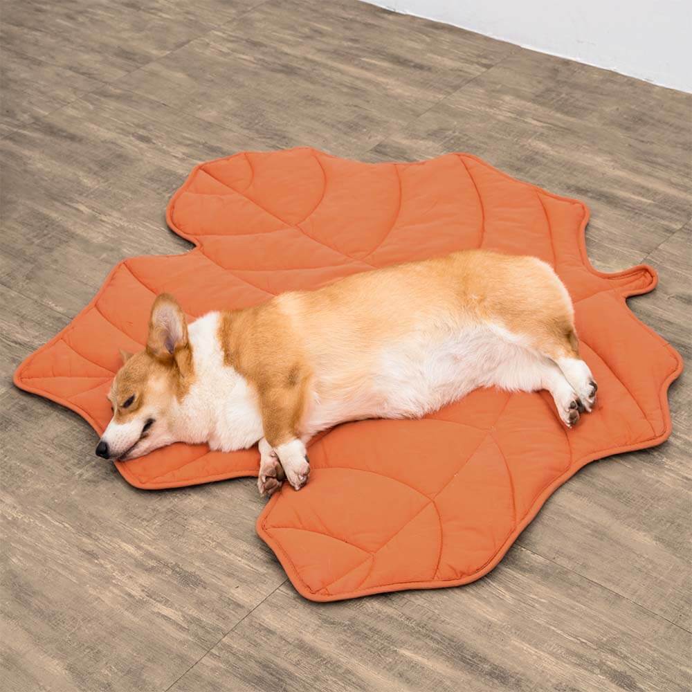 Superidag Leaf-shaped dog blanket