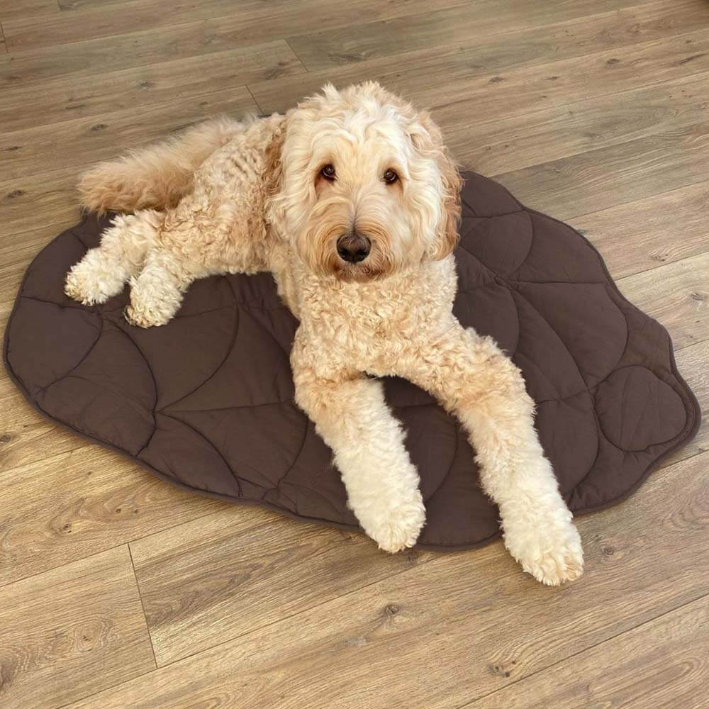 Superidag Leaf-shaped dog blanket