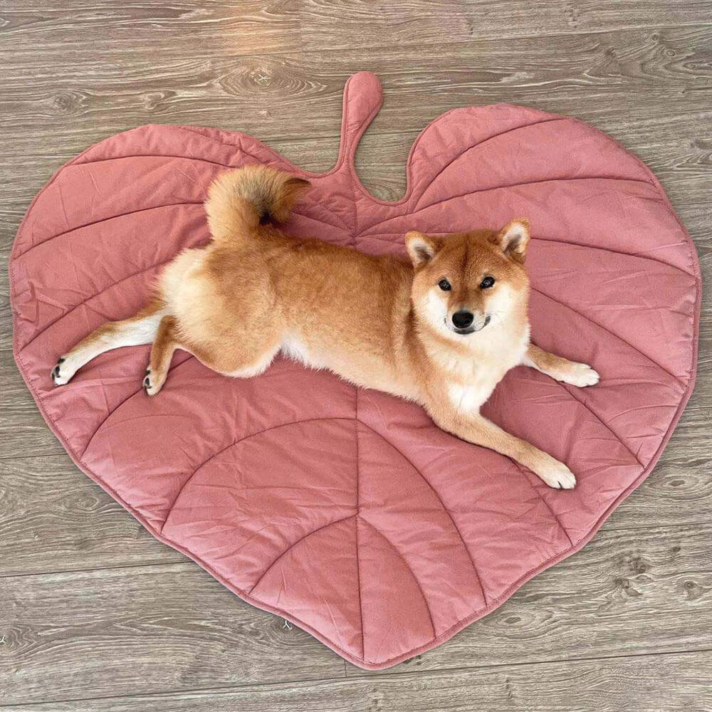 Superidag Leaf-shaped dog blanket