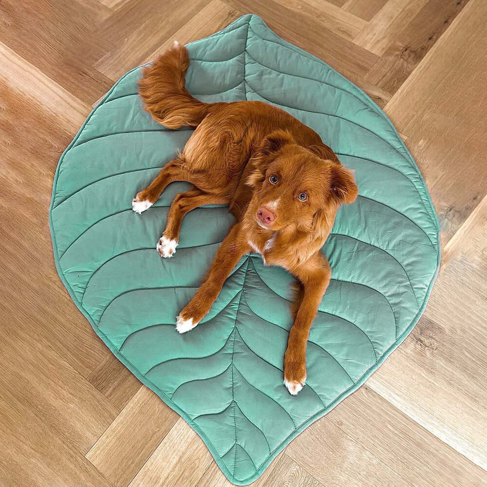 Superidag Leaf-shaped dog blanket