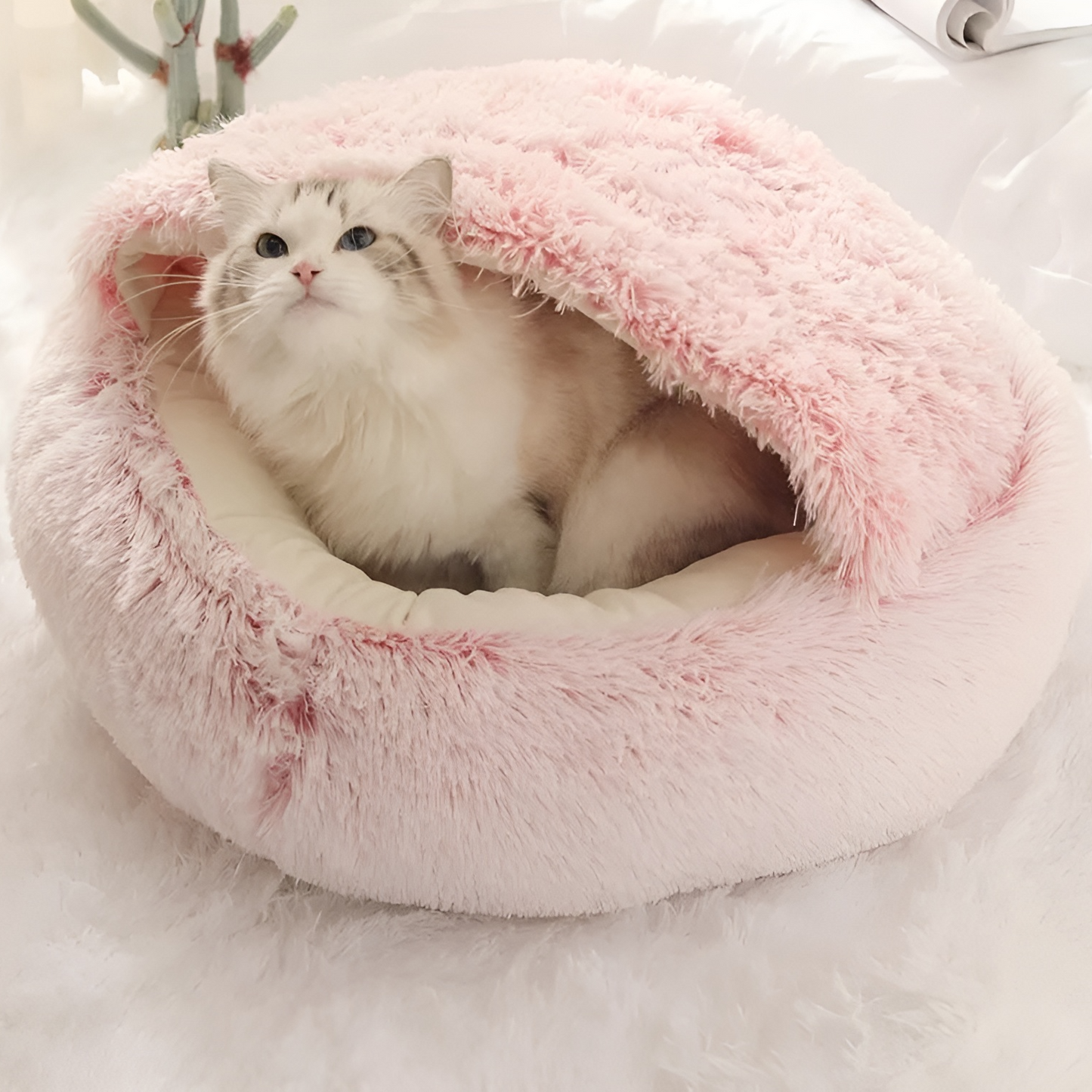 Superidag Pet Comfortable Plush Bed